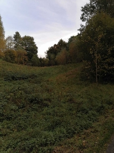 Na sprzedaż! Działka nr 3 w Ludwikowicach Kłodzkich, Góry Sowie