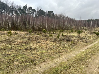 Piekna działka BORCZ. GRANICZĄCA Z LASEM!!! 2x1500m2