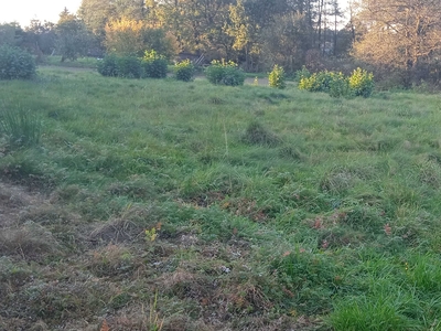 Sprzedam działkę budowlaną w Jarząbkowicach 13,2a