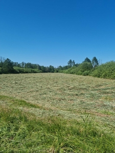 Sprzedam łąkę 1,14 ha oraz grunt orny 1,73 ha