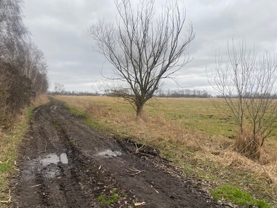 Syndyk sprzeda nieruchomość z Lędowie