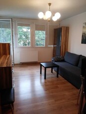 Centrum, 2 umeblowane pokoje, osobna kuchnia, 36 m2, balkon