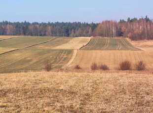 Działka widokowa 17 km od Krakowa