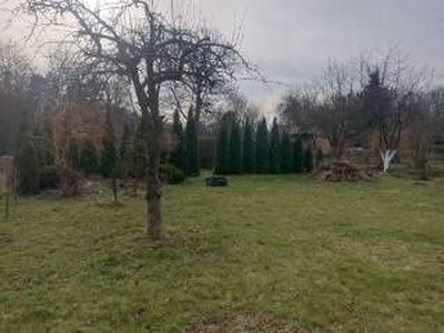 Ogródek działkowy ROD Legnica przy parku