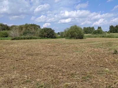 Sprzedam działke w Pilchach 740 m2