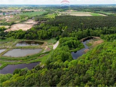 Działki, Huta-Chojno