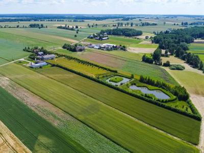 Dom na sprzedaż 5 pokoi łosicki, 150 m2, działka 21600 m2