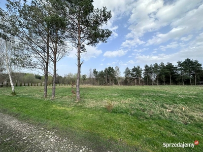 Cisza i spokój, Tarczyn, 20min od Warszawy, 1000m2