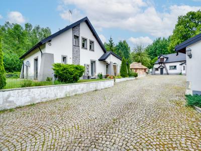 Częstochowski, Kamienica Polska, Rudnik Wielki