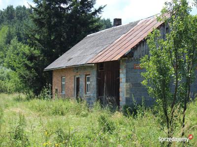 Dobrynia - 2 domy i działka 1,5ha