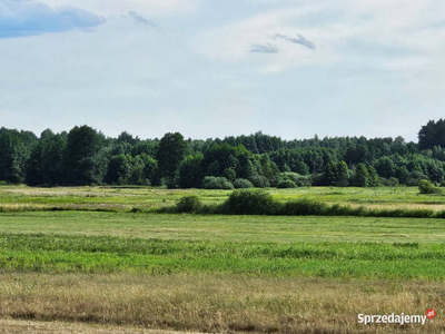 Działki rolne, Leszkowice, gm. Ostrówek