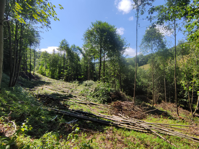 kłodzki, Lądek-Zdrój, Konradów