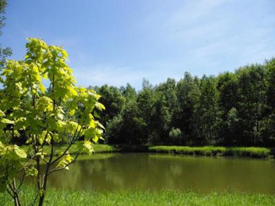 Domek nad stawem w Radrużu