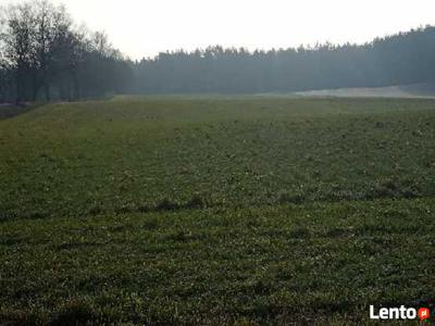 Działka budowlana Rydzewo 7000 m2 Mazury