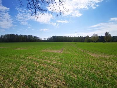 Działka na sprzedaż, Olsztyński, Nowa Wieś Ostródzka