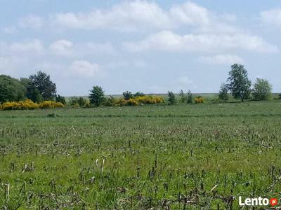 Działka rolna 50000 m.kw.