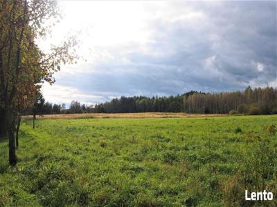 Działka rolno-budowlana w Załużu 30 ar