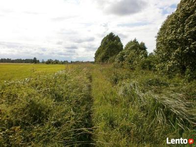 Działki na pięknych łąkach w Prabutach pow.Wyszków, 59km