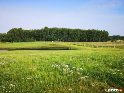 Działki w Kretowinach nad jez. Narie od 50 do 67 zł/m2