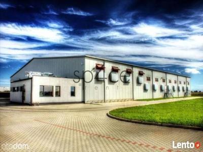 Hala produkcyjna 8500 m2 - Łódź