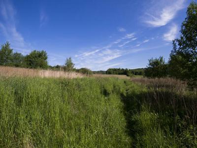 31 arów działki rolno-rekreacyjnej w Kielnarowej