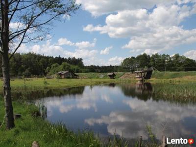 Osada Leśna Bębnikąt w Puszczy Noteckiej 40 km od Poznania