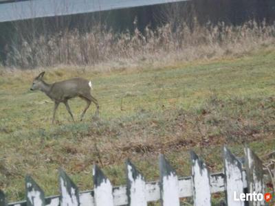 pokoje na wakacje, weckendy