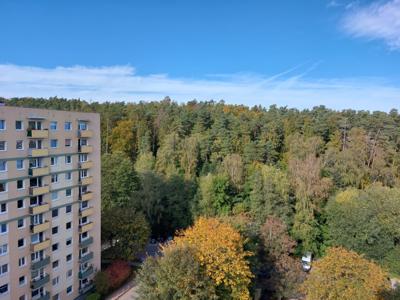 Sprzedam dwa 3-pokojowe mieszkania w Sopocie z pięknym widokiem na las