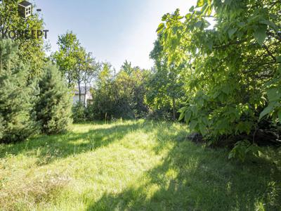 Trzebnicki (pow.), Oborniki Śląskie (gm.), Osola