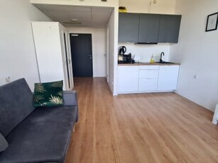 Apartament, ul. Bierutowska