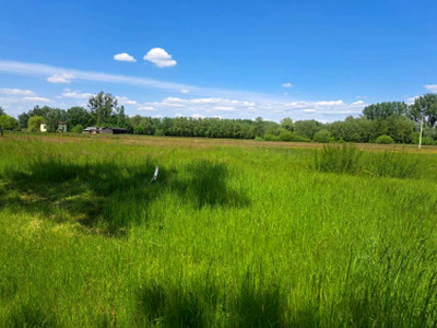 Działka budowlana Jaktorów-Kolonia