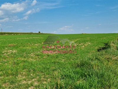 Działka budowlana Pszczyna