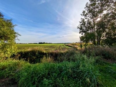 Działka budowlana, ul. Szkolna