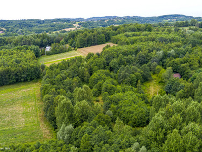 Działka rolna Buchcice