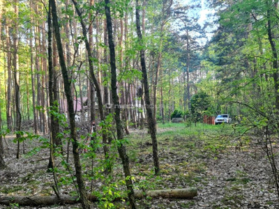 Działka Siestrzeń