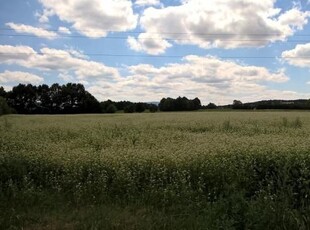 Działka budowlana Biedrzychowice