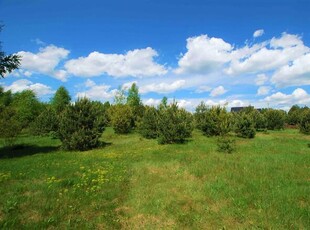 Działka budowlana Lesica gm. Piekoszów