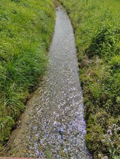 Sprzedam działkę BUDOWLANĄ położoną u PODNÓŻA GÓRY ŚW.ANNY