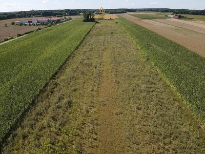 Działka żarnów gm. Żarnów niemojowice, niemojowice