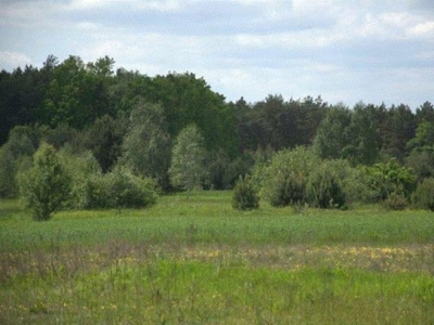 Działka o pow. 1426 m2 położona w Słupnie.