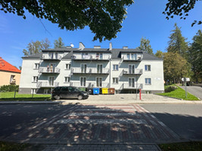 Mieszkanie na sprzedaż, 51 m², Stronie Śląskie, ul. Morawka