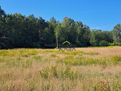 Tuplice - działka 1.58 ha z budynkiem