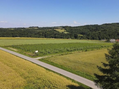 Winnica, nowy dom, duża działka, zyskowny biznes