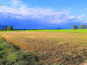 Działka budowlana Chrząszczewo