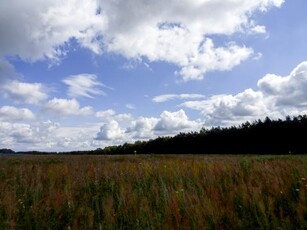 Działka komercyjna Nowogard