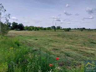 Działka rolno-budowlana Lisi Ogon