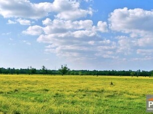 Działka rolno-budowlana Rewal