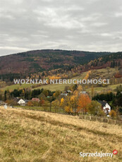 Ogłoszenie działka Rzeczka 879m2