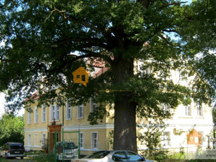 Budynek użytkowy Pątnówek