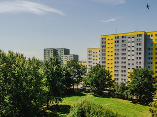 Zabrze, Gdańska